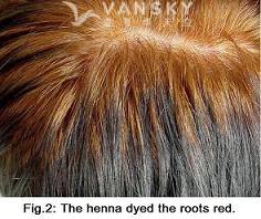 221228150942_Hair-Dying with henna-s.jpg